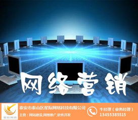 星際網(wǎng)絡(luò) 專業(yè)互聯(lián)網(wǎng)營銷與銷售解決方案提供商