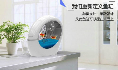 稀品匯 科技與新概念的互聯網營銷先鋒，引領布加桌寶線上銷售新潮流